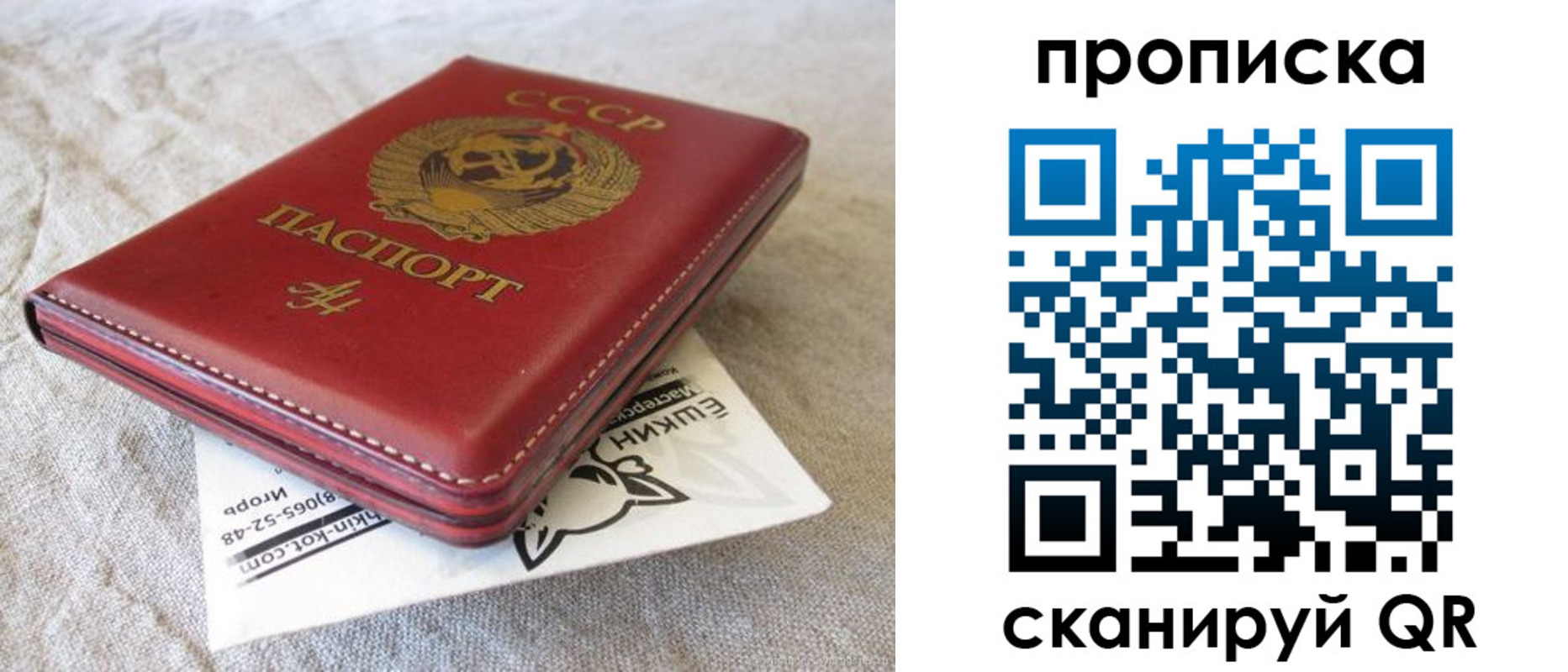 прописка для школы в Волгограде
